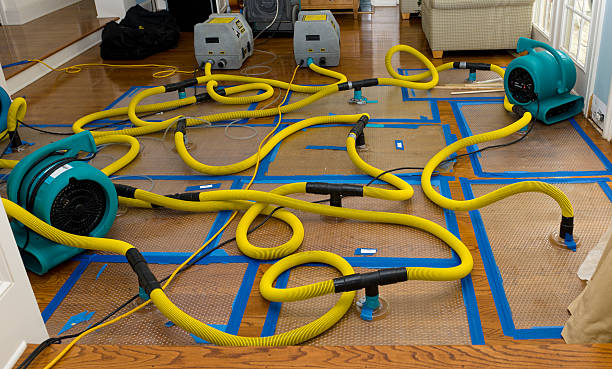 Professional Water Damage Repair technician working in Valley Springs, CA